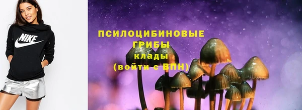 мдпв Мегион