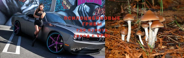 мдпв Мегион