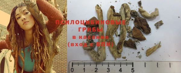 мдпв Мегион
